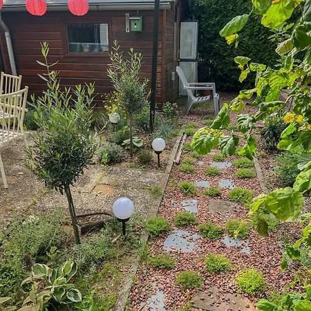 Retro Boshuisje Olijfje Met Omheinde Tuin Voor Natuurliefhebbers