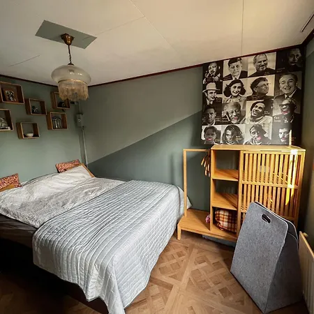 Boshuisjes Veluwe Olijfje Met Omheinde Tuin Alpesi faház