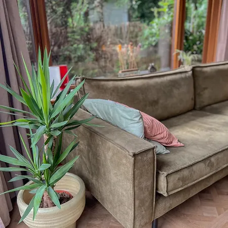 シャレー Retro Boshuisje Olijfje Met Omheinde Tuin Voor Natuurliefhebbers
