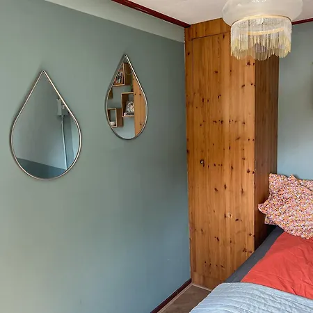 Boshuisjes Veluwe Olijfje Met Omheinde Tuin Putten