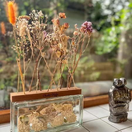 Boshuisjes Veluwe Olijfje Met Omheinde Tuin Alpesi faház Putten