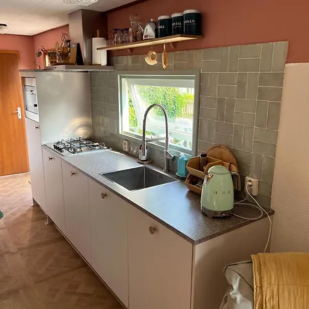 Boshuisjes Veluwe Olijfje Met Omheinde Tuin *