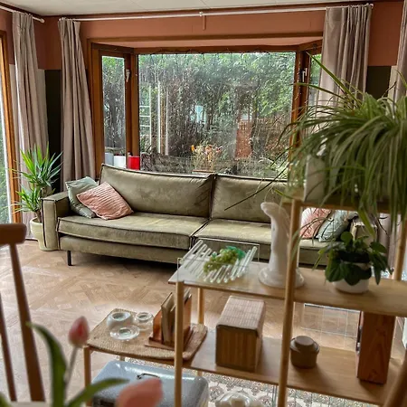 Boshuisjes Veluwe Olijfje Met Omheinde Tuin プッテン