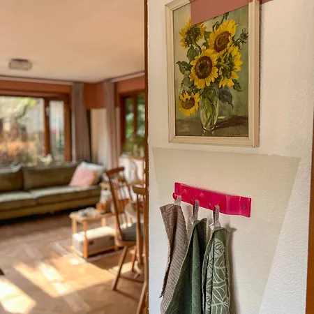 Boshuisjes Veluwe Olijfje Met Omheinde Tuin シャレー プッテン