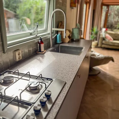 Alpesi faház Boshuisjes Veluwe Olijfje Met Omheinde Tuin