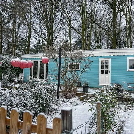 Retro Boshuisje Olijfje Met Omheinde Tuin Voor Natuurliefhebbers Chalet