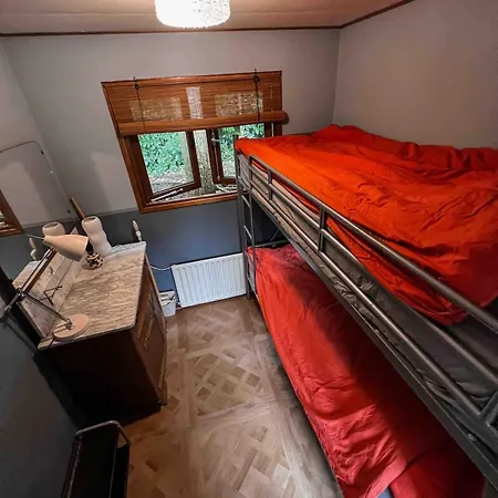 Boshuisjes Veluwe Olijfje Met Omheinde Tuin Alpesi faház Putten