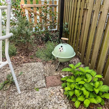 Retro Boshuisje Olijfje Met Omheinde Tuin Voor Natuurliefhebbers *