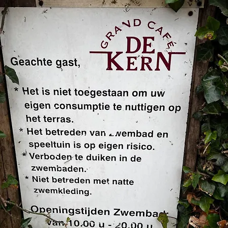 Chalet Uniek Boshuisje Olijfje Met Omheinde Tuin Op Loopafstand Veluwse Bos