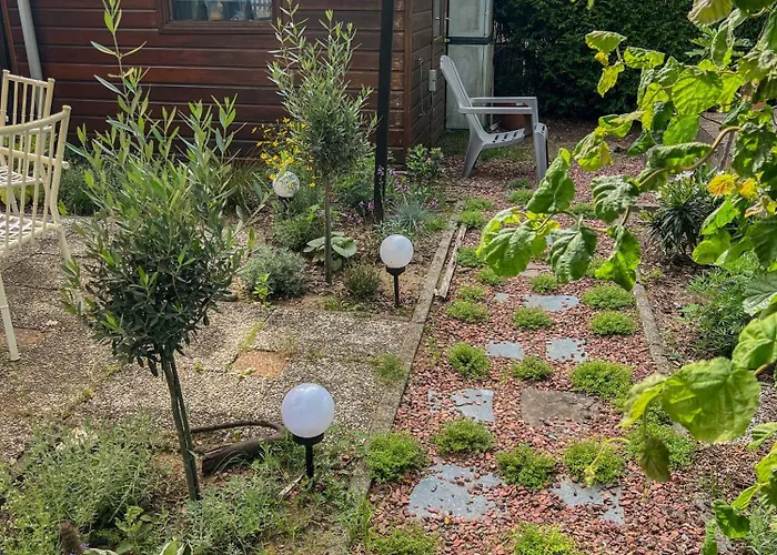 Uniek Boshuisje Olijfje Met Omheinde Tuin Op Loopafstand Veluwse Bos