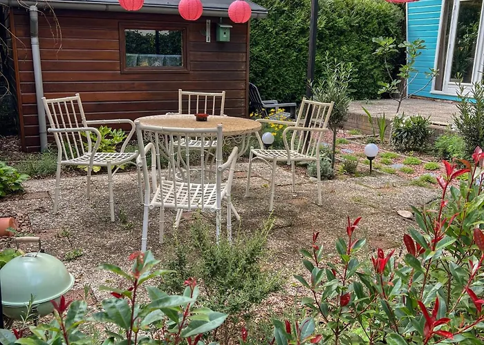Chalet Boshuisjes Veluwe Olijfje Met Omheinde Tuin