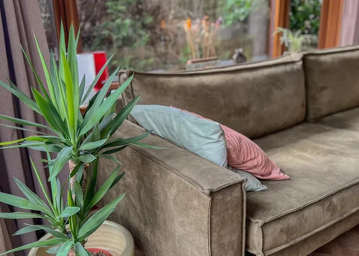 Chalet Boshuisjes Veluwe Olijfje Met Omheinde Tuin