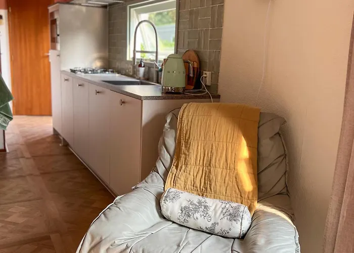 Boshuisjes Veluwe Olijfje Met Omheinde Tuin *