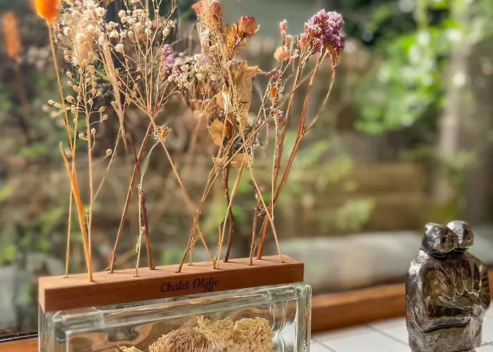 Boshuisjes Veluwe Olijfje Met Omheinde Tuin Chalet Putten