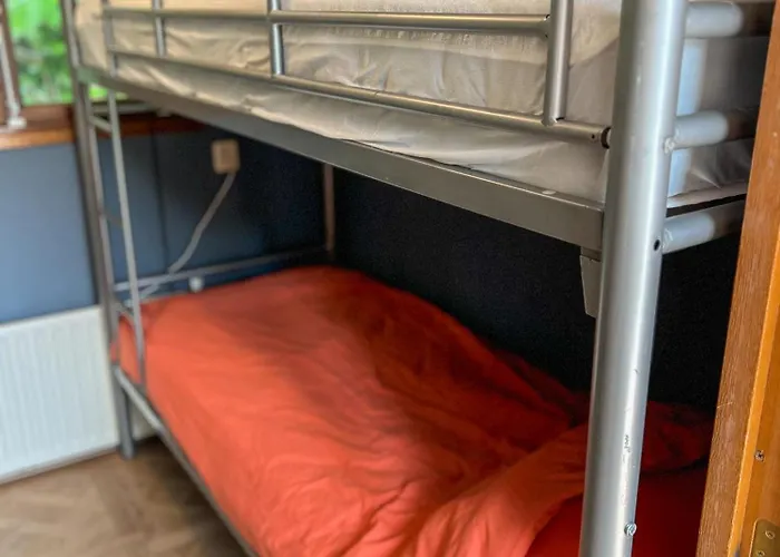 Chalet Uniek Boshuisje Olijfje Met Omheinde Tuin Op Loopafstand Veluwse Bos *