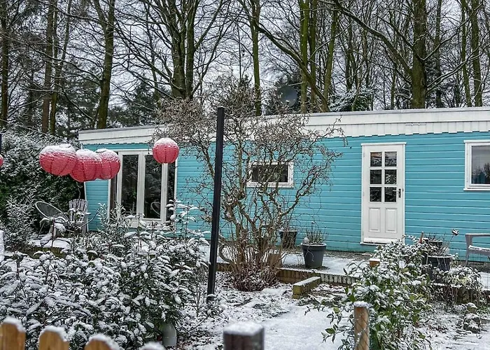 Boshuisjes Veluwe Olijfje Met Omheinde Tuin Chalet