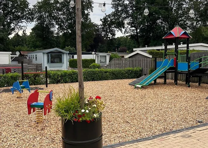 Boshuisjes Veluwe Olijfje Met Omheinde Tuin Chalet *