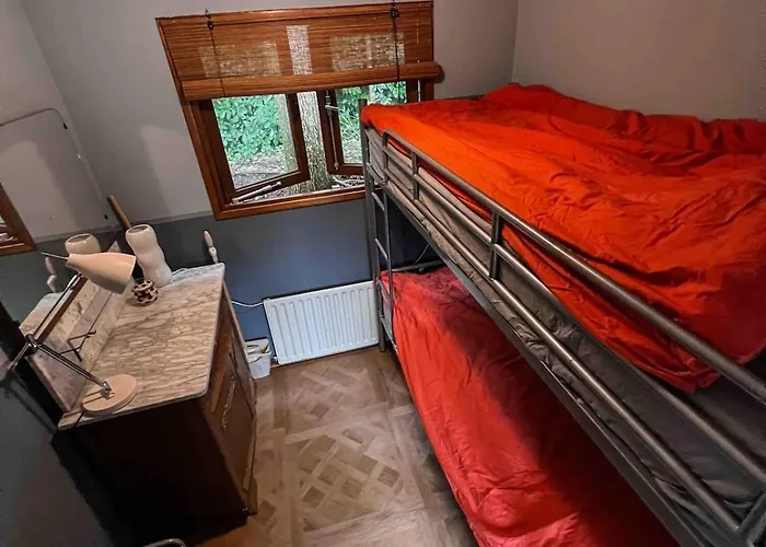 Uniek Boshuisje Olijfje Met Omheinde Tuin Op Loopafstand Veluwse Bos Chalet Putten