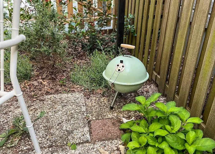 Boshuisjes Veluwe Olijfje Met Omheinde Tuin *
