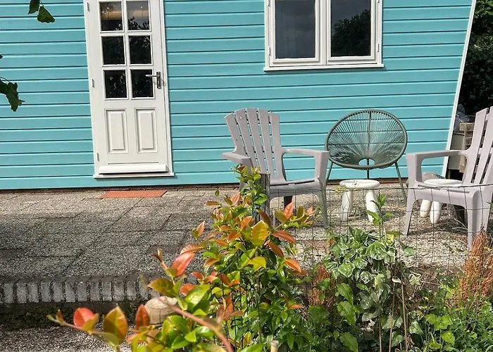 Boshuisjes Veluwe Olijfje Met Omheinde Tuin Putten