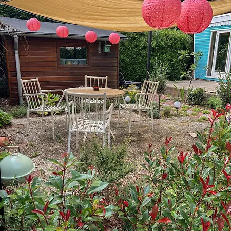 Шале Uniek Boshuisje Olijfje Met Omheinde Tuin Op Loopafstand Veluwse Bos