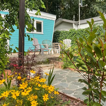 Domek alpejski Boshuisjes Veluwe Olijfje Met Omheinde Tuin Putten