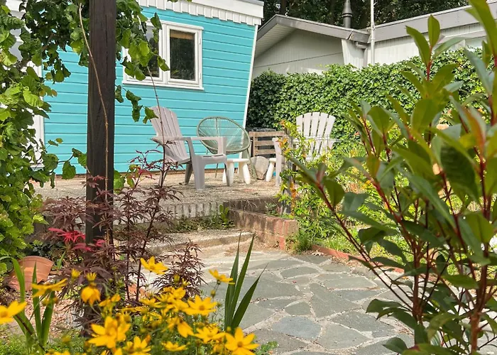 Domek alpejski Boshuisjes Veluwe Olijfje Met Omheinde Tuin Putten