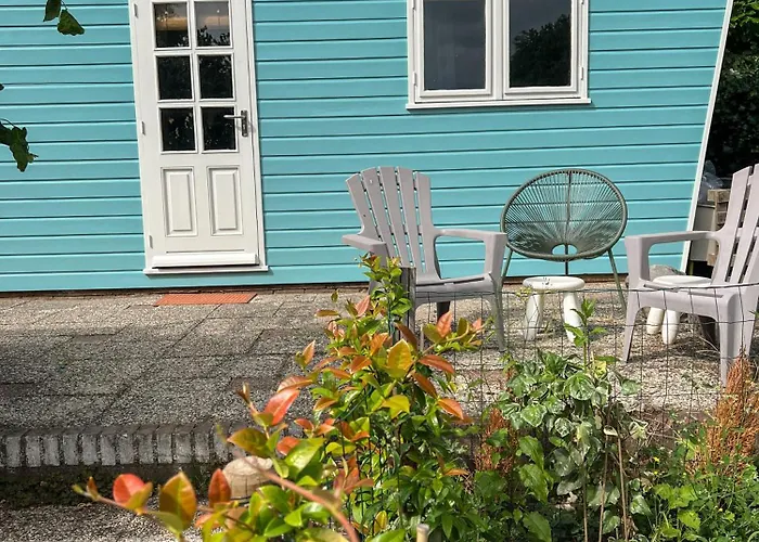 Boshuisjes Veluwe Olijfje Met Omheinde Tuin Domek alpejski *