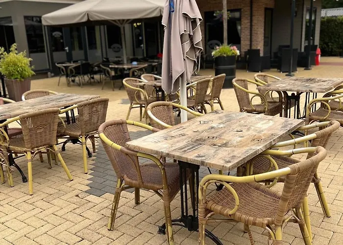 Boshuisjes Veluwe Olijfje Met Omheinde Tuin Putten